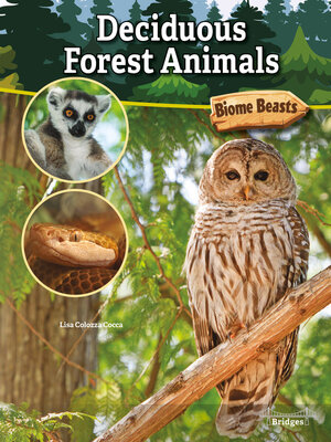 cover image of Deciduous Forest Animals